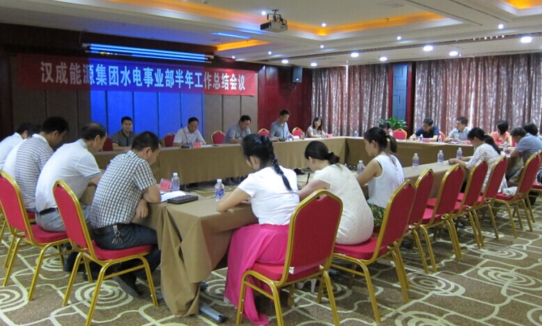 汉成能源集团召开半年工作会