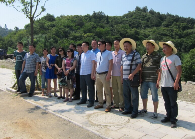 汉成能源集团召开半年工作会