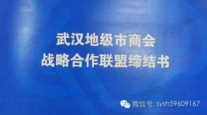 武汉地级市商会战略合作联盟成立，武汉十堰商会为发起单位