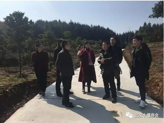 创建基金 帮扶贫困 产业扶贫 共话前景——元宵节前日走访精准扶贫帮扶村